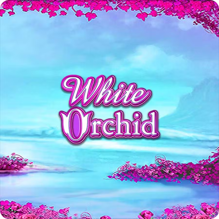 white orchid slot game